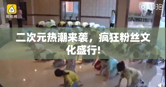 二次元热潮来袭，疯狂粉丝文化盛行!