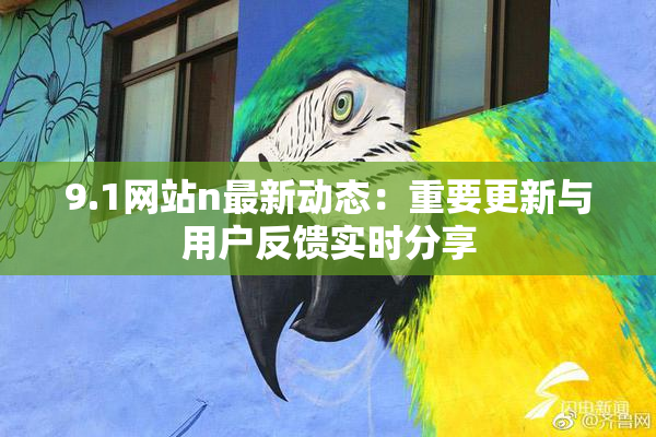 9.1网站n最新动态：重要更新与用户反馈实时分享