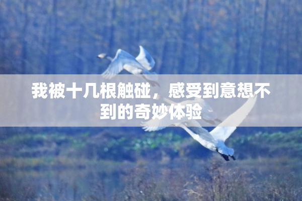 我被十几根触碰，感受到意想不到的奇妙体验