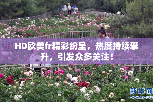 HD欧美fr精彩纷呈，热度持续攀升，引发众多关注！