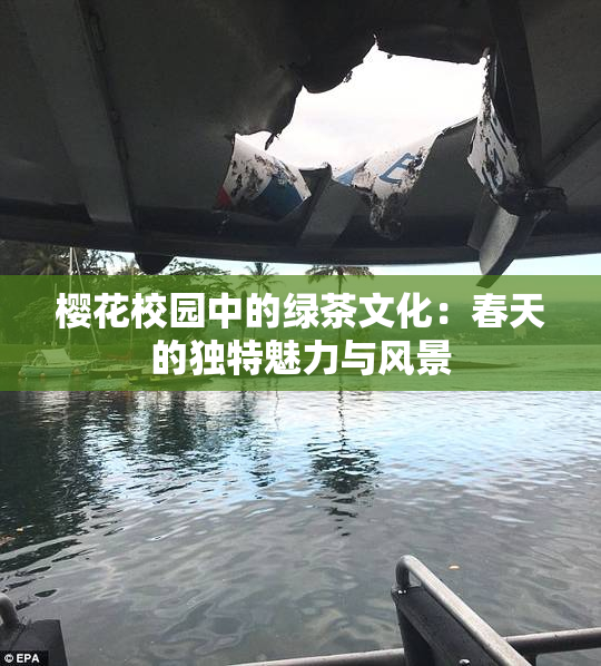 樱花校园中的绿茶文化：春天的独特魅力与风景