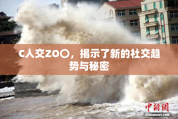 C人交ZO〇，揭示了新的社交趋势与秘密