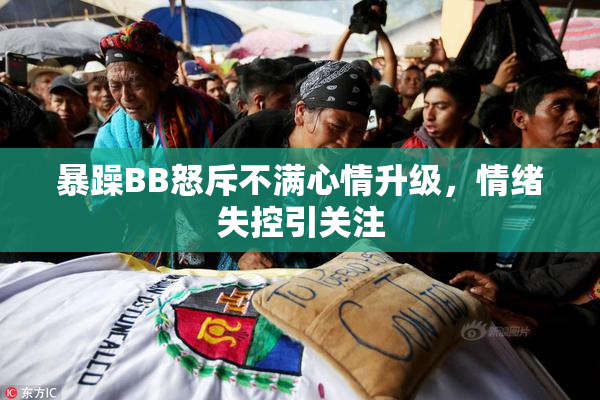 暴躁BB怒斥不满心情升级，情绪失控引关注