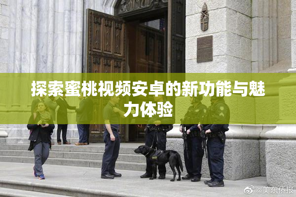 探索蜜桃视频安卓的新功能与魅力体验