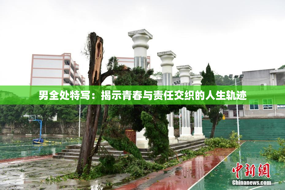 男全处特写：揭示青春与责任交织的人生轨迹