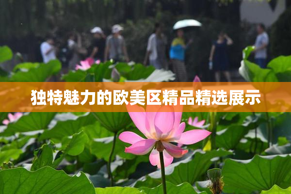 独特魅力的欧美区精品精选展示