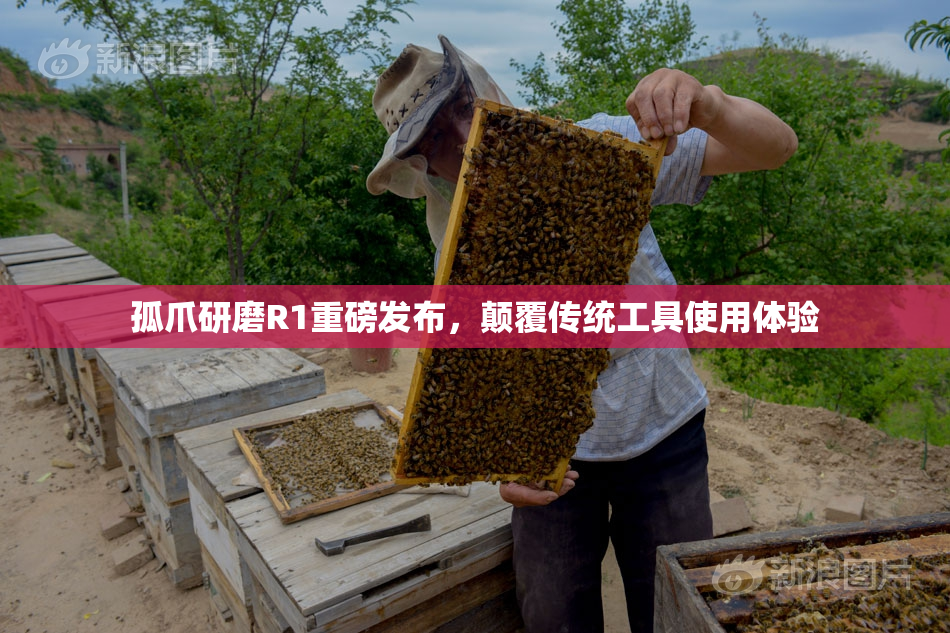 孤爪研磨R1重磅发布，颠覆传统工具使用体验