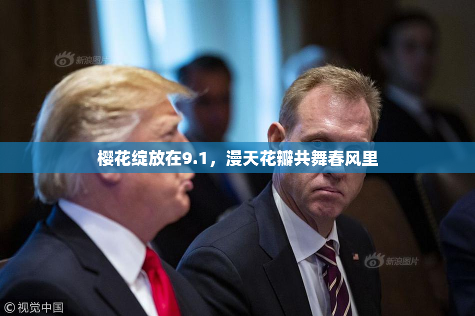 樱花绽放在9.1，漫天花瓣共舞春风里