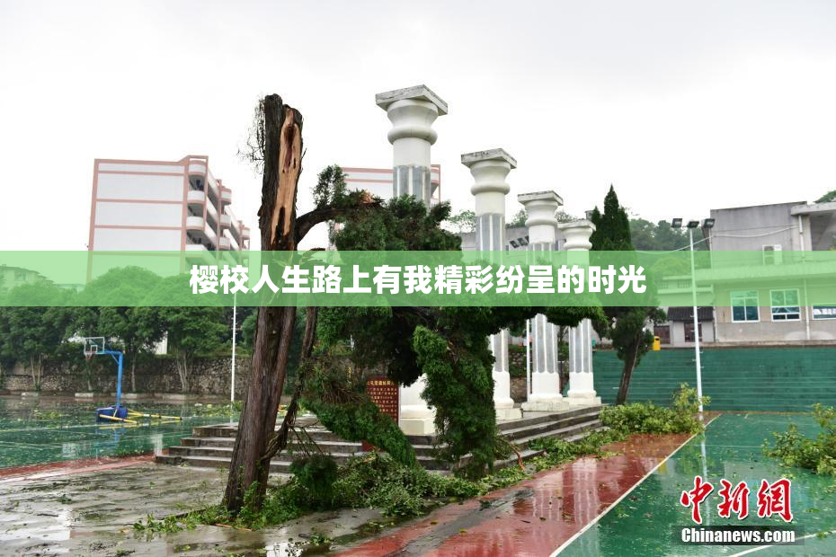 樱校人生路上有我精彩纷呈的时光