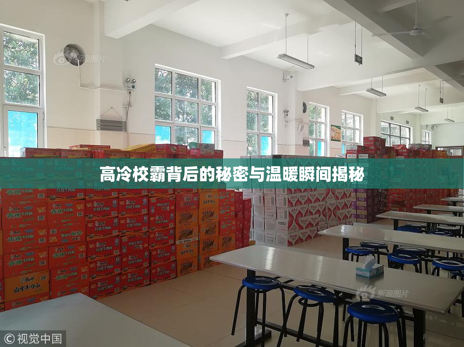高冷校霸背后的秘密与温暖瞬间揭秘