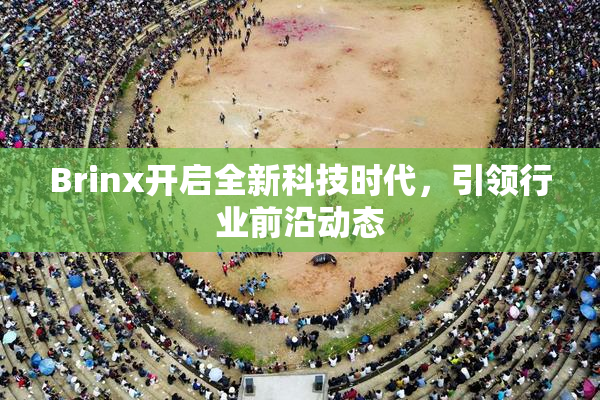 Brinx开启全新科技时代，引领行业前沿动态