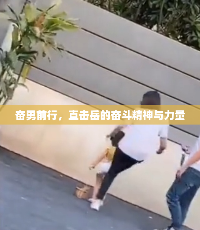 奋勇前行，直击岳的奋斗精神与力量