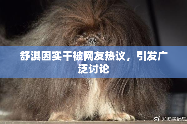舒淇因实干被网友热议，引发广泛讨论