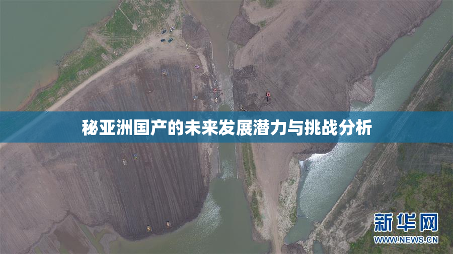 秘亚洲国产的未来发展潜力与挑战分析