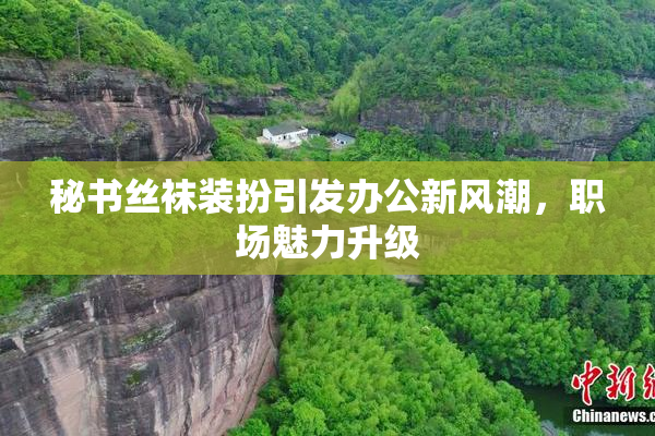 秘书丝袜装扮引发办公新风潮，职场魅力升级