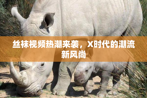 丝袜视频热潮来袭，X时代的潮流新风尚