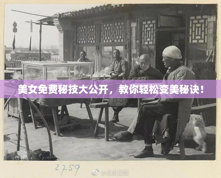 美女免费秘技大公开，教你轻松变美秘诀！