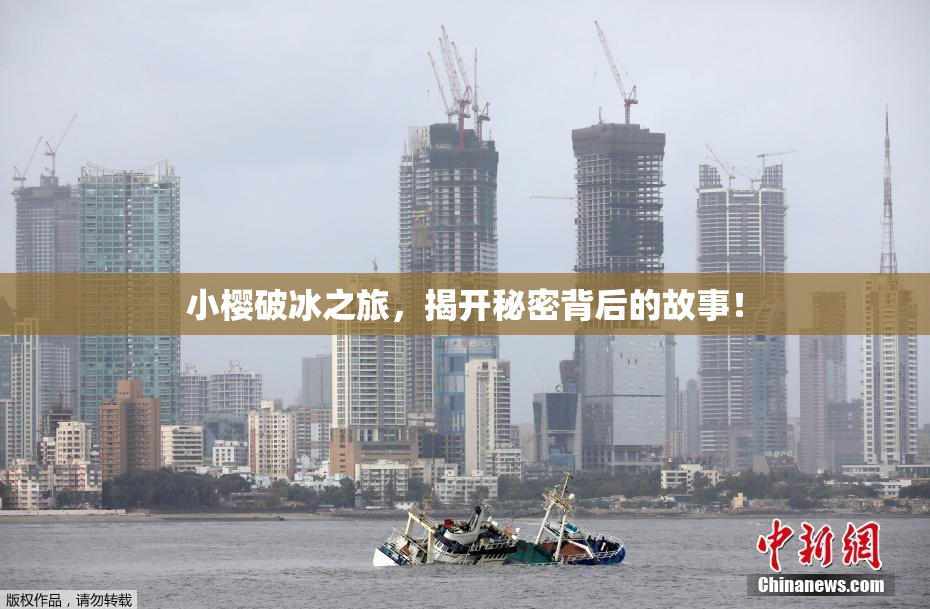 小樱破冰之旅，揭开秘密背后的故事！