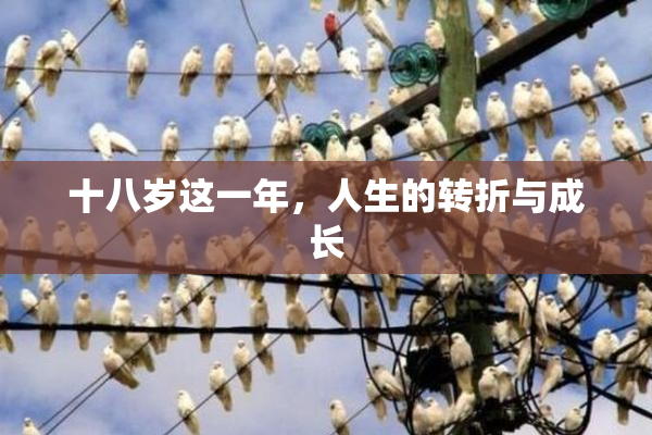 十八岁这一年，人生的转折与成长