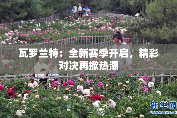 瓦罗兰特：全新赛季开启，精彩对决再掀热潮