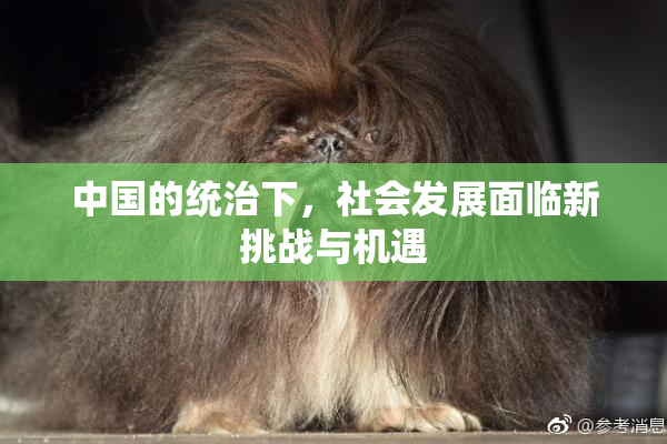 中国的统治下，社会发展面临新挑战与机遇