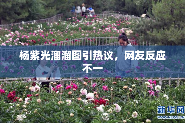 杨紫光溜溜图引热议，网友反应不一