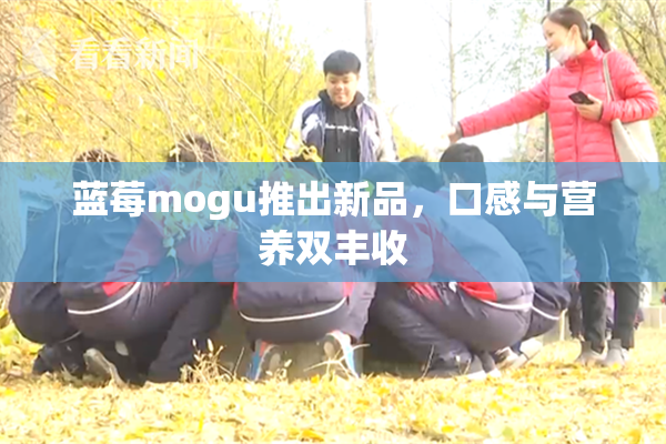 蓝莓mogu推出新品，口感与营养双丰收
