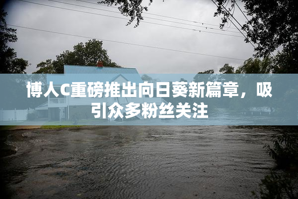 博人C重磅推出向日葵新篇章，吸引众多粉丝关注