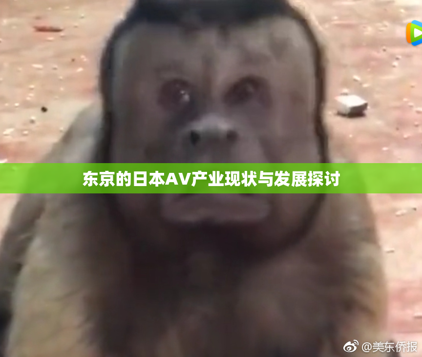 东京的日本AV产业现状与发展探讨