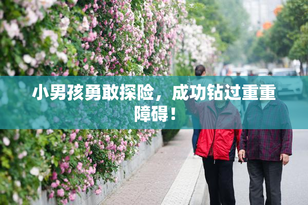 小男孩勇敢探险，成功钻过重重障碍！