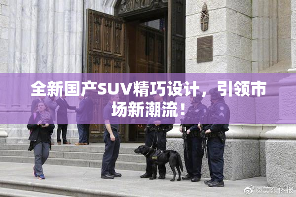 全新国产SUV精巧设计，引领市场新潮流！