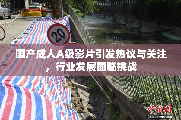 国产成人A级影片引发热议与关注，行业发展面临挑战