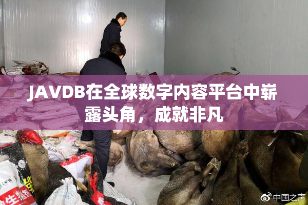 JAVDB在全球数字内容平台中崭露头角，成就非凡