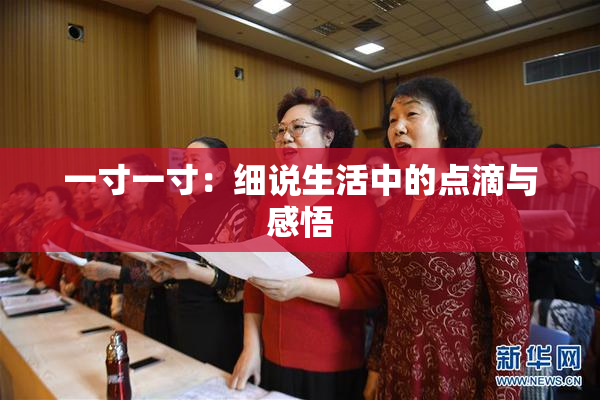 一寸一寸：细说生活中的点滴与感悟