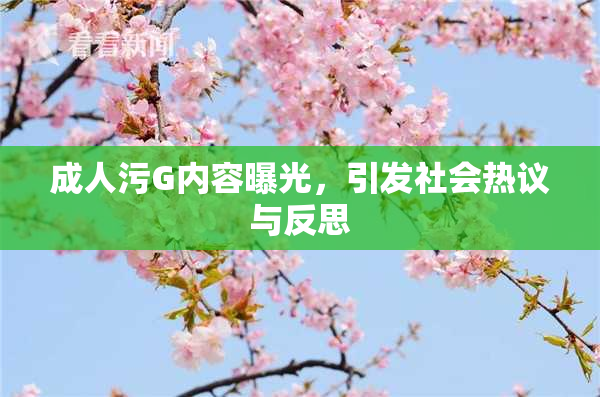 成人污G内容曝光，引发社会热议与反思