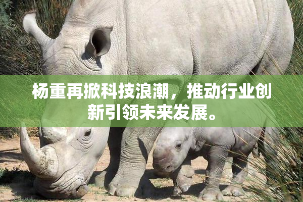 杨重再掀科技浪潮，推动行业创新引领未来发展。