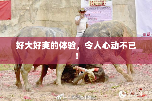 好大好爽的体验，令人心动不已！