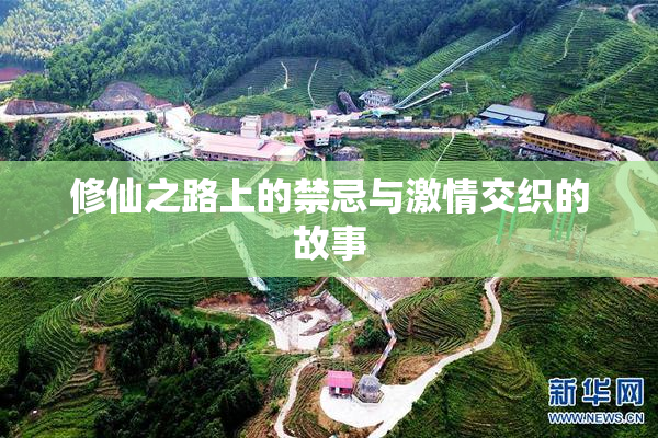 修仙之路上的禁忌与激情交织的故事