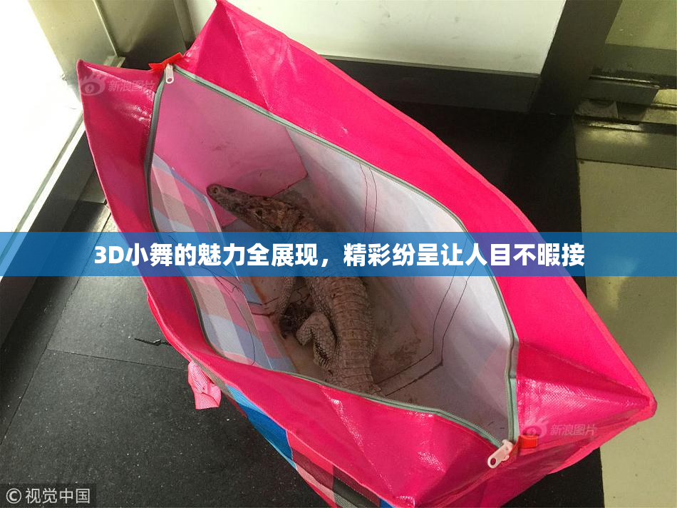 3D小舞的魅力全展现，精彩纷呈让人目不暇接