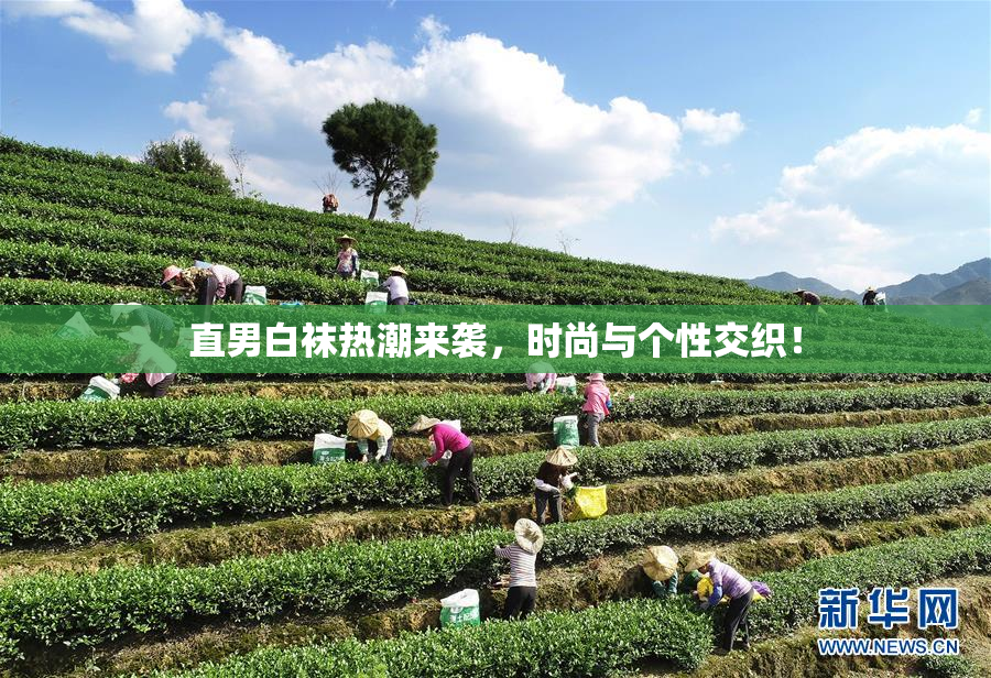 直男白袜热潮来袭，时尚与个性交织！