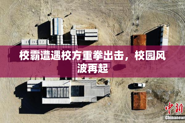 校霸遭遇校方重拳出击，校园风波再起