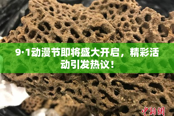 9·1动漫节即将盛大开启，精彩活动引发热议！