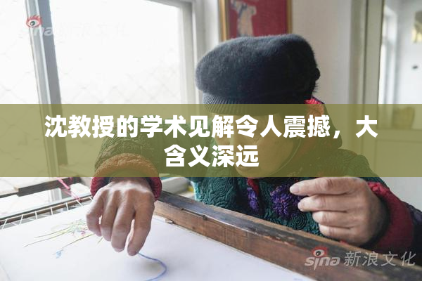 沈教授的学术见解令人震撼，大含义深远