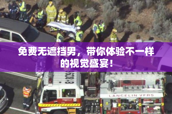 免费无遮挡男，带你体验不一样的视觉盛宴！