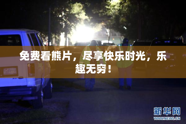 免费看熊片，尽享快乐时光，乐趣无穷！