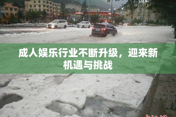 成人娱乐行业不断升级，迎来新机遇与挑战