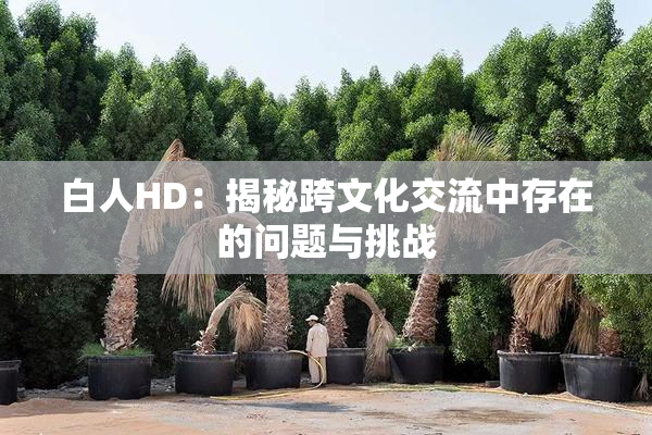 白人HD：揭秘跨文化交流中存在的问题与挑战