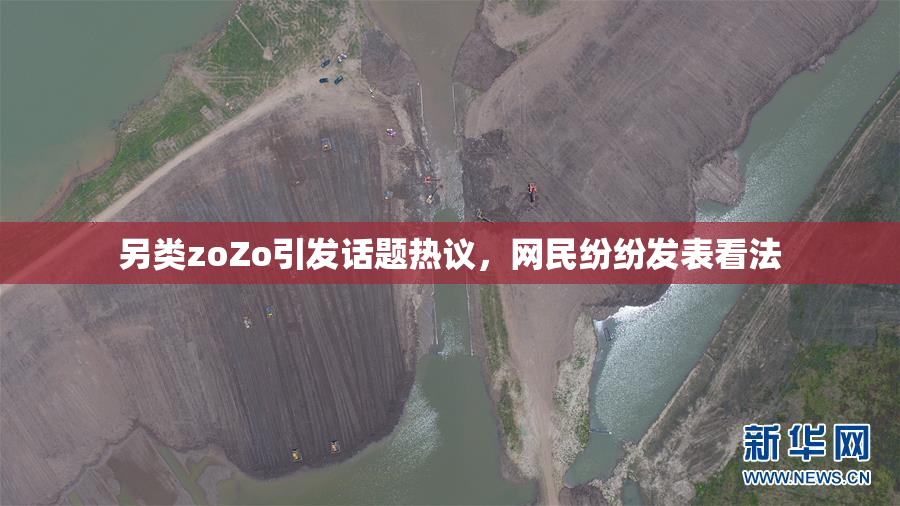 另类zoZo引发话题热议，网民纷纷发表看法