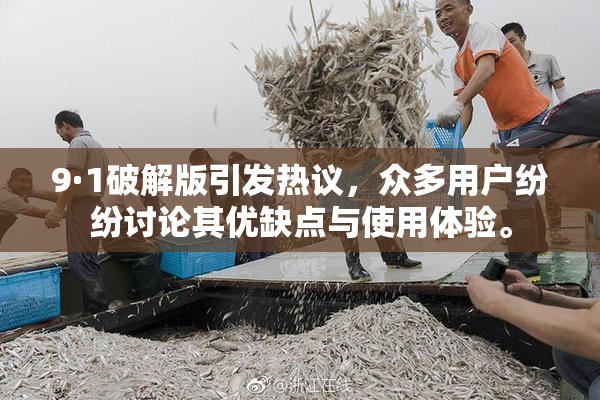 9·1破解版引发热议，众多用户纷纷讨论其优缺点与使用体验。