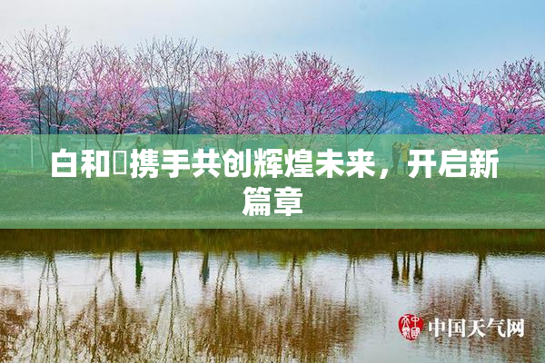 白和晄携手共创辉煌未来，开启新篇章
